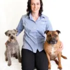 Business 3 image VET FOREST HILL Veterinary Surgery in Forest Hill VIC