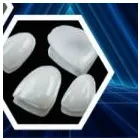 Business 1 image VTS DENTAL LAB SYDNEY Dentist in Canterbury NSW