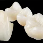 Business 2 image VTS DENTAL LAB SYDNEY Dentist in Canterbury NSW