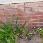 Business 6 image WA BUILDING INSPECTIONS MIDLAND Builders & Building Contractors in Swan View WA