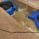 Business 1 image WATER DAMAGE RESTORATION ADELAIDE Water Damage Restoration in Adelaide SA