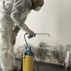 Business 2 image WATER DAMAGE RESTORATION ADELAIDE Water Damage Restoration in Adelaide SA