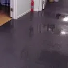 Business 5 image WATER DAMAGE RESTORATION ADELAIDE Water Damage Restoration in Adelaide SA