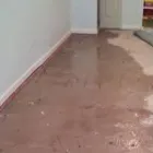 Business 8 image WATER DAMAGE RESTORATION ADELAIDE Water Damage Restoration in Adelaide SA