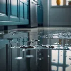 Business 1 image WATER DAMAGE RESTORATION BRISBANE Home Cleaning in Brisbane QLD