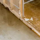 Business 3 image WATER DAMAGE RESTORATION PERTH Flood damage carpet restorations in Perth WA