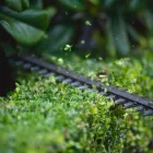 Business 1 image WESTERN PROPERTY CARE Landscaping & Landscape Design in Perth WA