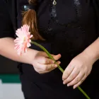 Business 14 image WESTRIDGE FLORIST Wedding Flowers in Toowoomba QLD