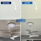 Business 5 image WESTY'S PRESSURE WASHING Office Window Cleaning Services in Logan QLD