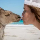 Business 4 image WHY NOT BUS Travel in Perth WA