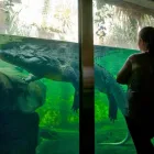 Business 16 image WILD LIFE SYDNEY ZOO Zoo in Sydney NSW