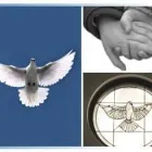 Business 3 image WILLIAM BARRETT & SONS Funeral Home in Harvey WA