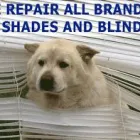 Business 3 image WILSON'S BLIND CLEANING, REPAIRS & REPLACEMENTS Window Cleaning in Unanderra NSW