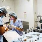 Business 4 image WISDOM TEETH REMOVAL SYDNEY PROFESSIONALS Health & Fitness - Centres & Services in Sydney NSW