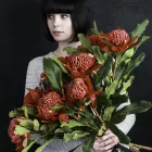 Business 4 image WOLLONGONG FLOWERS PTY. LTD. Wollongong Florist in Wollongong NSW