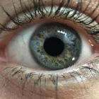 Business 1 image WOODS NATUROPATHY Wellness in Highett VIC