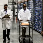 Business 3 image WORLD COURIER Shipping Service in Botany NSW