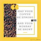 Business 2 image YES COFFEE Whole Beans in Castle Hill NSW