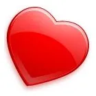 Business 1 image YOUR CRITTER SITTER Pet Sitter in Sydenham NSW