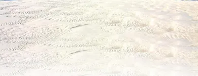 Business 1 image 12 APOSTLES TOUR FROM MELBOURNE | AROUND AND ABOUT TRAVEL & PLANNING Travel Agents in Williamstown VIC