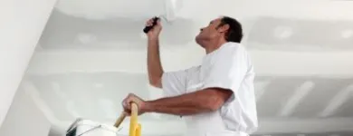 Business 1 image ADJUSTMINT CEILINGS AND WALLS Water Damage Restoration in Subiaco WA