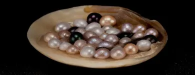 Business 5 image AKUNA PEARLS Wholesale Jewellery in Melbourne VIC