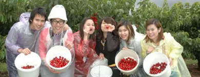 Business 1 image APSE TOURS Tourist Attractions & Information in Sydney NSW