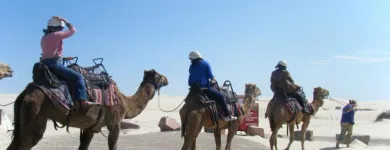 Business 4 image APSE TOURS Tourist Attractions & Information in Sydney NSW