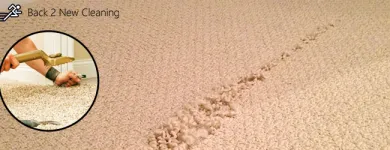 Business 1 image BACK 2 NEW CLEANING - CARPET REPAIR BRISBANE Carpet Repair in Brisbane QLD