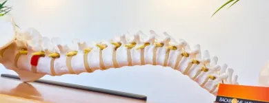 Business 1 image BACKBONE WELLNESS Physiotherapist in Cheltenham VIC