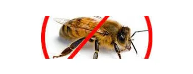 Business 1 image BEE PEST CONTROL SYDNEY Pest Control in Sydney NSW