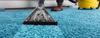Business 1 image BEST RUG CLEANING MELBOURNE Pressure & Steam Cleaning Equipment in Melbourne VIC