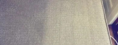 Business 3 image BLACK GOLD CARPET CLEANING Rug Cleaning in Carnegie VIC