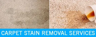 Business 2 image CARPET CLEANING BAYSWATER Carpet Cleaning & Protection in Bayswater VIC