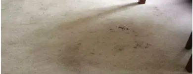 Business 1 image CARPET CLEANING BOORAGOON Carpet Cleaning & Protection in Booragoon WA