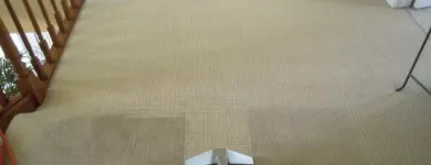 Business 4 image CARPET CLEANING BOORAGOON Carpet Cleaning & Protection in Booragoon WA