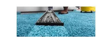 Business 3 image CARPET CLEANING BRONTE Home Cleaning in Bronte NSW