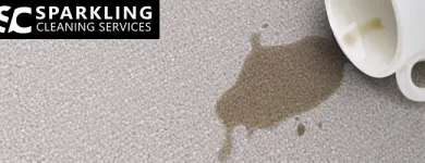 Business 4 image CARPET CLEANING SERVICE IN MELBOURNE Carpet Cleaning & Protection in Melbourne VIC