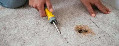 Business 4 image CARPET REPAIR CANBERRA Carpet Stretching in Forrest ACT