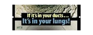 Business 5 image CENTRAL HOME SERVICES Home Cleaning in South Melbourne VIC