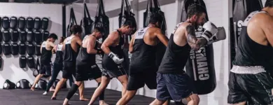 Business 1 image CHAMPIONS GYM Health & Fitness - Centres & Services in Myaree WA