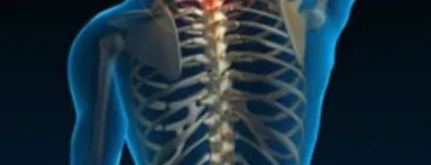 Business 1 image CHIROPRACTIC HELPS Therapeutic Massage in Kew VIC