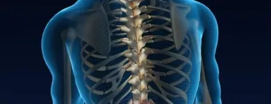 Business 2 image CHIROPRACTIC HELPS Therapeutic Massage in Kew VIC