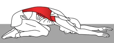 Business 5 image CITY PHYSIOTHERAPY & SPORTS INJURY CLINIC Remedial Massage Therapy in Adelaide SA