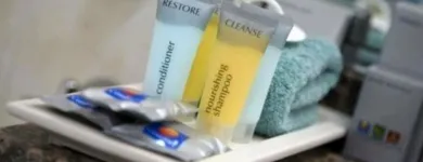 Business 3 image COMFORT INN BLUE LAGOON Hotel in Dubbo NSW