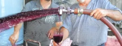 Business 1 image CONTE ESTATE WINES Winery in McLaren Vale SA