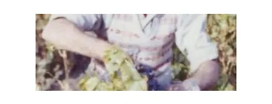 Business 5 image CONTE ESTATE WINES Winery in McLaren Vale SA