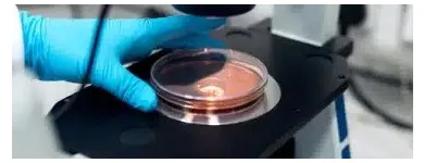 Business 1 image COSMETIC STABILITY TESTING AUSTRALIA Cosmetics-Retail in Perth WA