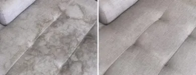 Business 4 image COUCH CLEANING ADELAIDE Home Cleaning in Adelaide SA