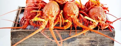 Business 32 image CYREN BAR GRILL SEAFOOD Waterfront Restaurants Sydney in Sydney NSW
